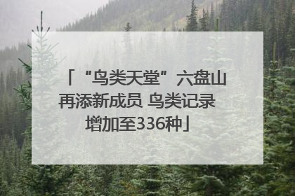 “鸟类天堂”六盘山再添新成员 鸟类记录增加至336种