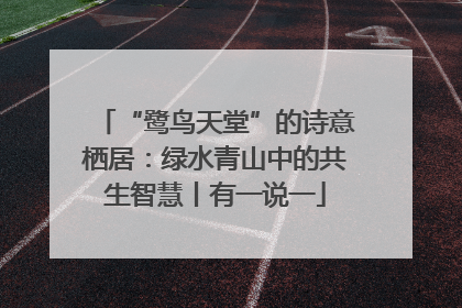 “鹭鸟天堂”的诗意栖居：绿水青山中的共生智慧丨有一说一