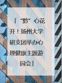 “黔”心花开！扬州大学研支团举办心理健康主题游园会