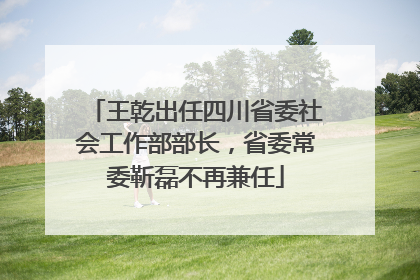 王乾出任四川省委社会工作部部长，省委常委靳磊不再兼任