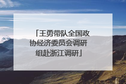 王勇带队全国政协经济委员会调研组赴浙江调研