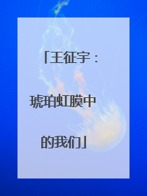 王征宇：琥珀虹膜中的我们