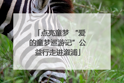 点亮童梦 “爱的童梦巡游记”公益行走进溆浦