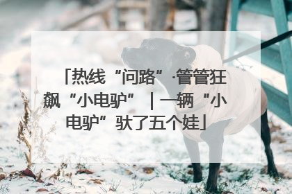 热线“问路”·管管狂飙“小电驴”｜一辆“小电驴”驮了五个娃