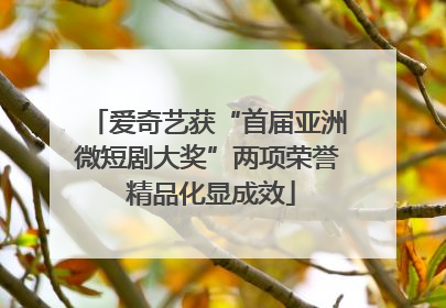 爱奇艺获“首届亚洲微短剧大奖”两项荣誉 精品化显成效