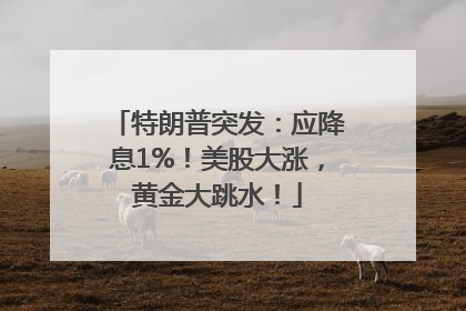 特朗普突发：应降息1%！美股大涨，黄金大跳水！