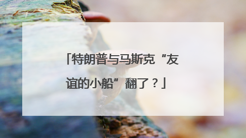 特朗普与马斯克“友谊的小船”翻了？