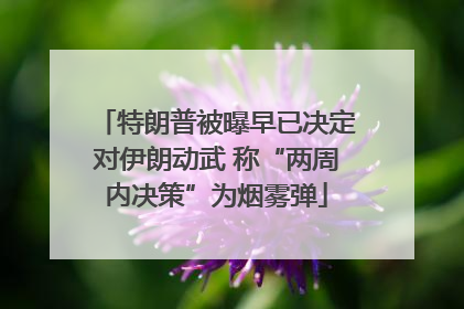 特朗普被曝早已决定对伊朗动武 称“两周内决策”为烟雾弹