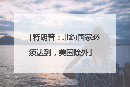 特朗普：北约国家必须达到，美国除外