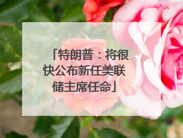 特朗普：将很快公布新任美联储主席任命