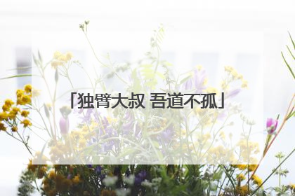 独臂大叔 吾道不孤