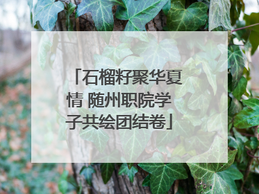 石榴籽聚华夏情 随州职院学子共绘团结卷