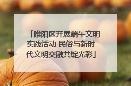 睢阳区开展端午文明实践活动 民俗与新时代文明交融共绽光彩