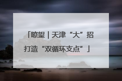 瞭望｜天津“大”招打造“双循环支点”