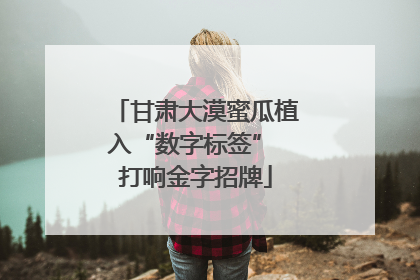 甘肃大漠蜜瓜植入“数字标签” 打响金字招牌