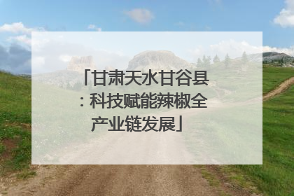 甘肃天水甘谷县：科技赋能辣椒全产业链发展
