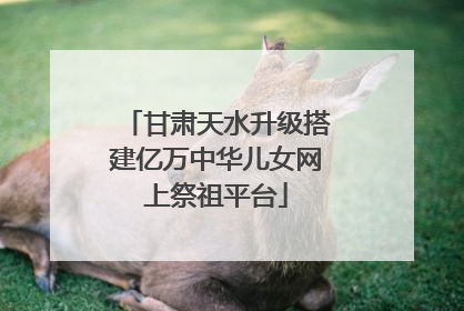 甘肃天水升级搭建亿万中华儿女网上祭祖平台