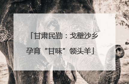 甘肃民勤：戈壁沙乡孕育“甘味”领头羊