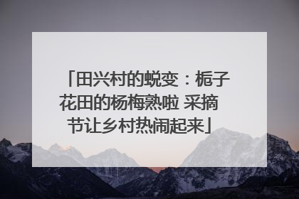 田兴村的蜕变：栀子花田的杨梅熟啦 采摘节让乡村热闹起来