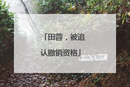 田蓉，被追认撤销资格