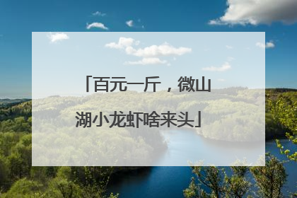 百元一斤，微山湖小龙虾啥来头