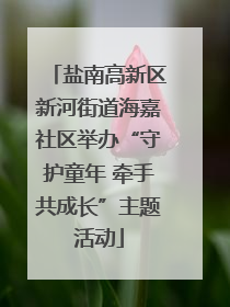 盐南高新区新河街道海嘉社区举办“守护童年 牵手共成长”主题活动