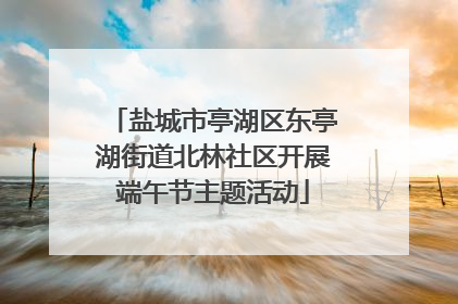 盐城市亭湖区东亭湖街道北林社区开展端午节主题活动