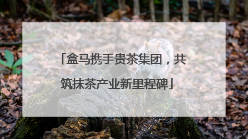盒马携手贵茶集团，共筑抹茶产业新里程碑
