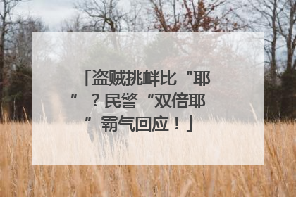 盗贼挑衅比“耶”？民警“双倍耶”霸气回应！