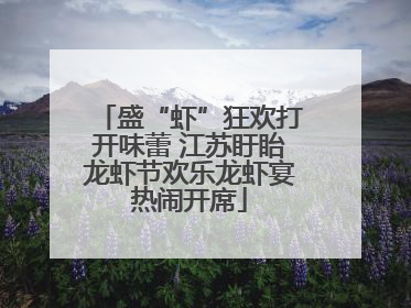 盛“虾”狂欢打开味蕾 江苏盱眙龙虾节欢乐龙虾宴热闹开席