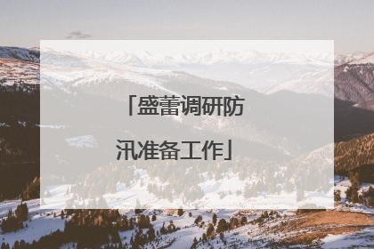 盛蕾调研防汛准备工作