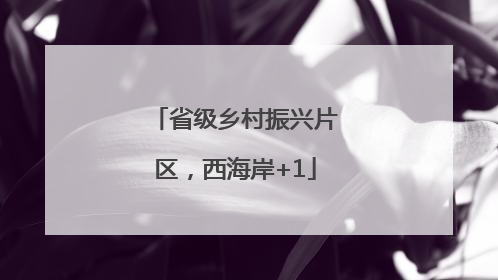 省级乡村振兴片区，西海岸+1