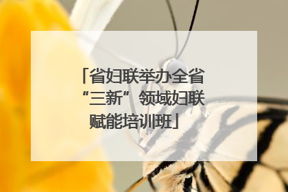 省妇联举办全省“三新”领域妇联赋能培训班