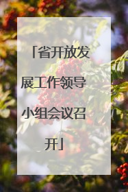 省开放发展工作领导小组会议召开
