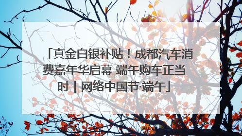 真金白银补贴！成都汽车消费嘉年华启幕 端午购车正当时｜网络中国节·端午
