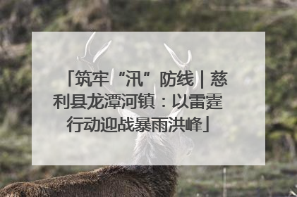 筑牢“汛”防线｜慈利县龙潭河镇：以雷霆行动迎战暴雨洪峰