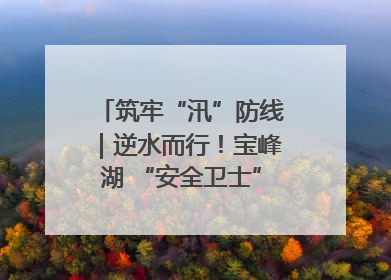 筑牢“汛”防线｜逆水而行！宝峰湖 “安全卫士” 出鞘 防汛应急再添硬核力量