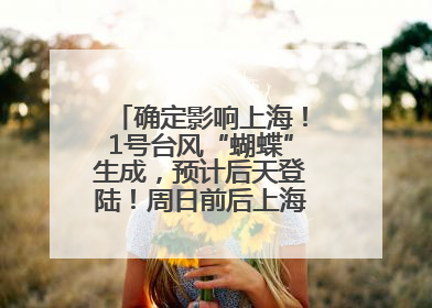 确定影响上海！1号台风“蝴蝶”生成，预计后天登陆！周日前后上海有明显降水