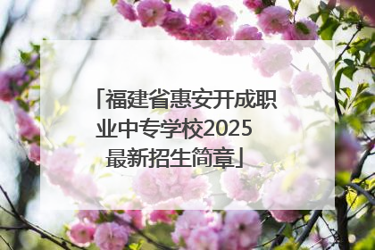 福建省惠安开成职业中专学校2025最新招生简章