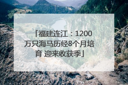 福建连江：1200万只海马历经8个月培育 迎来收获季