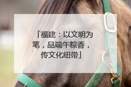 福建：以文明为笔，品端午粽香，传文化纽带
