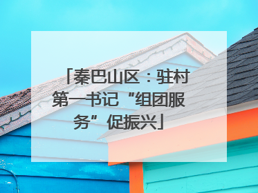 秦巴山区：驻村第一书记“组团服务”促振兴