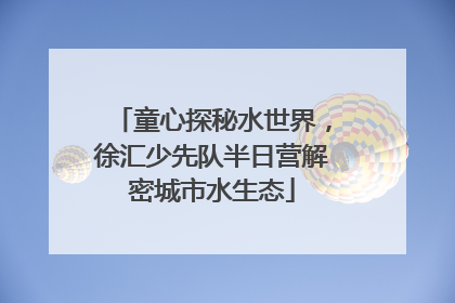 童心探秘水世界，徐汇少先队半日营解密城市水生态
