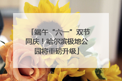 端午“六一”双节同庆！哈尔滨极地公园将重磅升级
