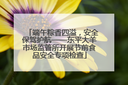 端午粽香四溢，安全保驾护航——东平大羊市场监管所开展节前食品安全专项检查