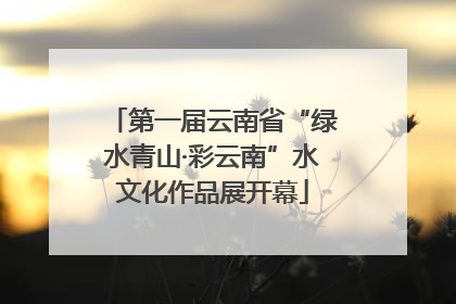 第一届云南省“绿水青山·彩云南”水文化作品展开幕