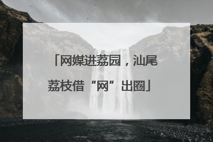 网媒进荔园，汕尾荔枝借“网”出圈