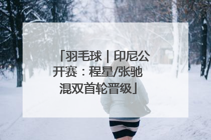 羽毛球｜印尼公开赛：程星/张驰混双首轮晋级
