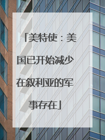 美特使：美国已开始减少在叙利亚的军事存在