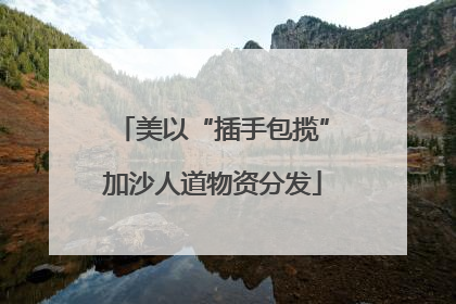 美以“插手包揽”加沙人道物资分发